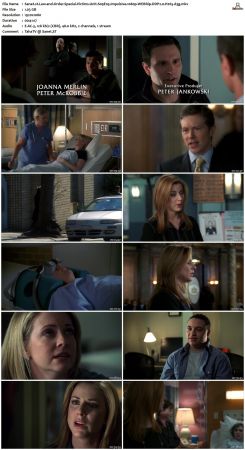 Law and Order Special Victims Unit S09 1080p WEBRip DDP2.0 H265-d3g