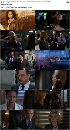 Law and Order Special Victims Unit S09 1080p WEBRip DDP2.0 H265-d3g