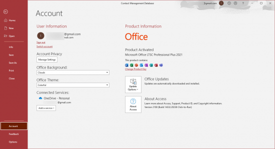 Microsoft Office 2021 LTSC Version 2108 Build 14332.20238 x64 English Preactivated
