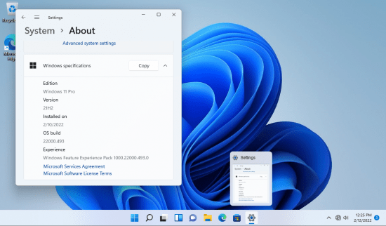 Windows 11 Pro 21H2 Build 22000.493 incl Office 2021 (x64) English Preactivated (For VMware)