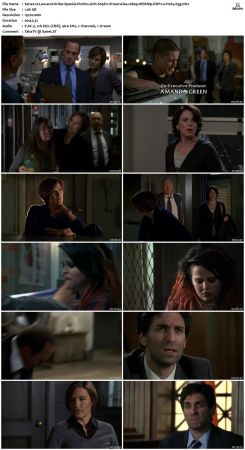 Law and Order Special Victims Unit S09 1080p WEBRip DDP2.0 H265-d3g