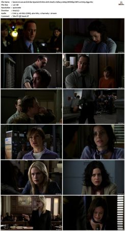 Law and Order Special Victims Unit S04 1080p WEBRip DDP2.0 H265-d3g