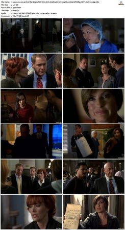 Law and Order Special Victims Unit S09 1080p WEBRip DDP2.0 H265-d3g