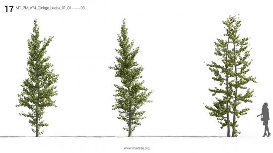 Maxtree - Plant Models Vol 74
