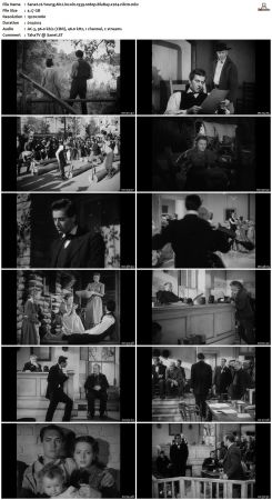 Young Mr. Lincoln 1939 1080p BluRay x264-nikt0