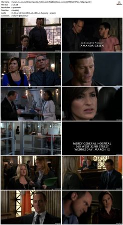 Law and Order Special Victims Unit S09 1080p WEBRip DDP2.0 H265-d3g