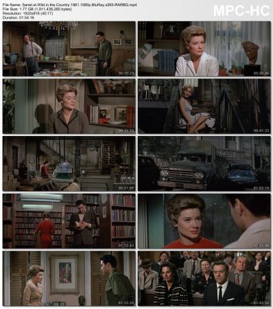 Wild in the Country 1961 1080p BluRay x265-RARBG