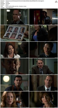 Law and Order Special Victims Unit S09 1080p WEBRip DDP2.0 H265-d3g