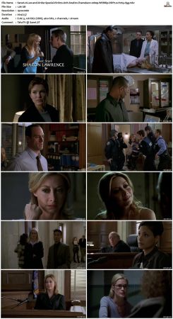 Law and Order Special Victims Unit S04 1080p WEBRip DDP2.0 H265-d3g