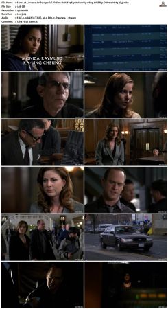 Law and Order Special Victims Unit S09 1080p WEBRip DDP2.0 H265-d3g