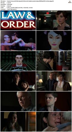 Law and Order Special Victims Unit S09 1080p WEBRip DDP2.0 H265-d3g