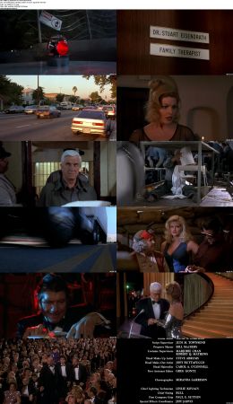The Naked Gun Trilogy 1080p BRRip x264 AC3 DiVERSiTY