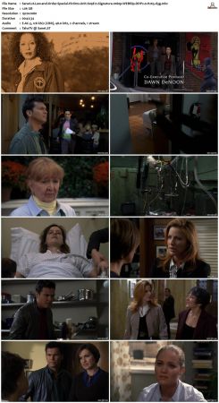 Law and Order Special Victims Unit S09 1080p WEBRip DDP2.0 H265-d3g
