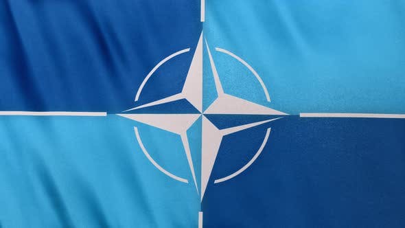 Videohive - Realistic Full Frame NATO North Atlantic Treaty Organization Flag Loop Banner Background - 36406619