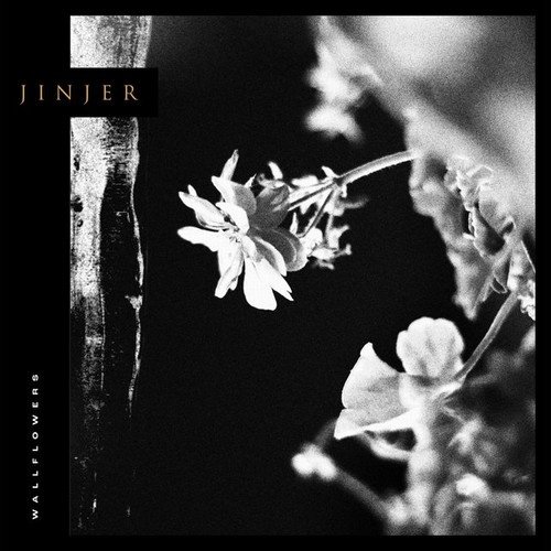 Jinjer - Wallflowers (2021)24/48 Hi-Res