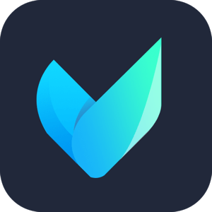 Vidmore Video Converter 2.3.38 macOS