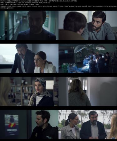 Lies and Deceit S01 720p NF WEBRip DDP5.1 x264-TEPES Sanet st