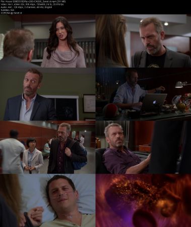 House S08 BDRip x265-ION265