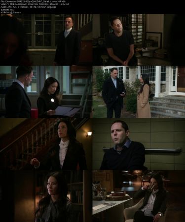 Elementary S04 480p x264-ZMNT
