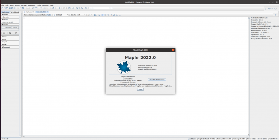 Maplesoft Maple 2022 LINUX (x64)