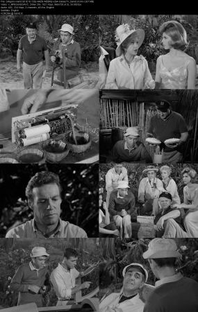 Gilligans Island 1964 S01 720p AMZN WEBRip x264-GalaxyTV