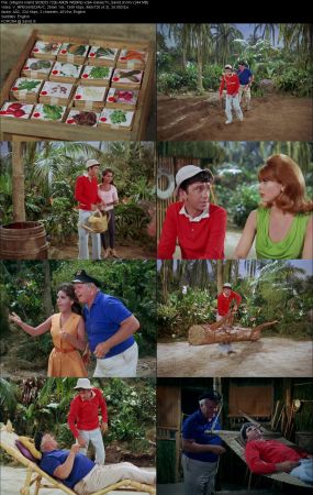 Gilligans Island 1964 S03 720p AMZN WEBRip x264-GalaxyTV