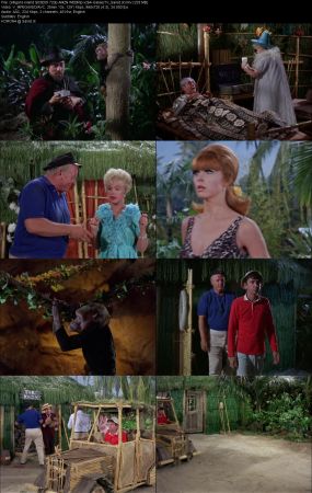 Gilligans Island 1964 S03 720p AMZN WEBRip x264-GalaxyTV
