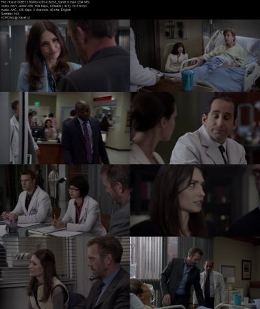 House S08 BDRip x265-ION265