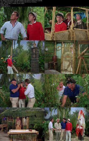 Gilligans Island 1964 S03 720p AMZN WEBRip x264-GalaxyTV
