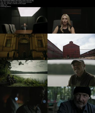 Patriot S01 WEBRip x265-ION265