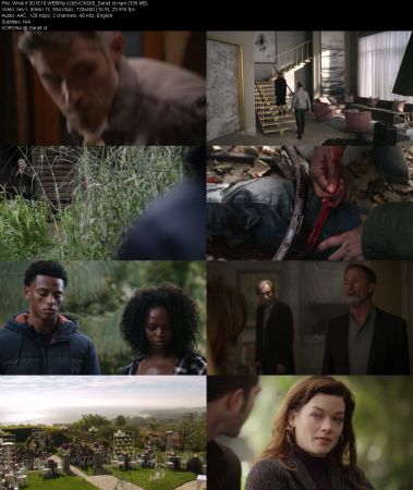 What if S01 WEBRip x265-ION265