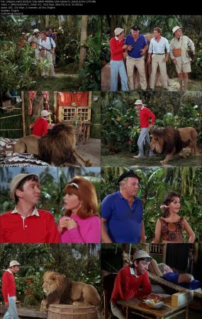 Gilligans Island 1964 S02 720p AMZN WEBRip x264-GalaxyTV