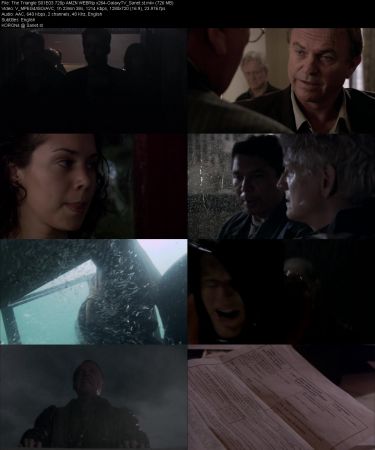The Triangle S01 720p AMZN WEBRip x264-GalaxyTV