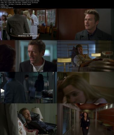 House S04 BDRip x265-ION265
