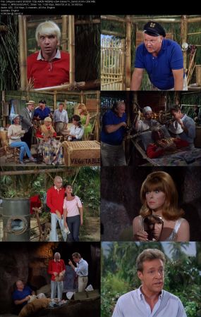 Gilligans Island 1964 S03 720p AMZN WEBRip x264-GalaxyTV