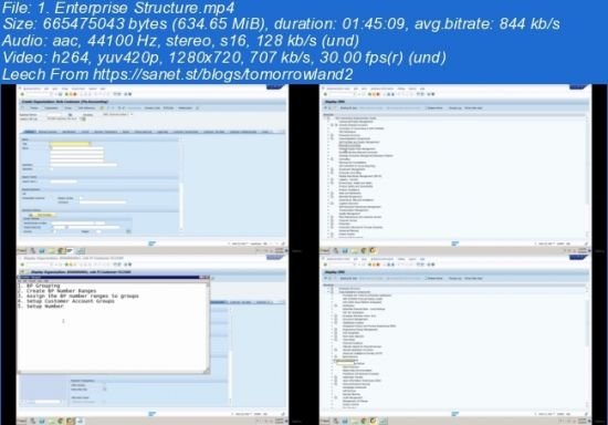Learn End To End Implementation &amp; Practical Training Of SAP FSCM 2022 - New!
