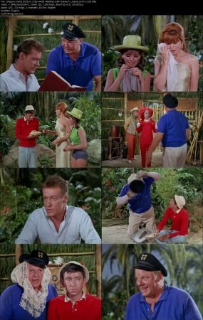 Gilligans Island 1964 S02 720p AMZN WEBRip x264-GalaxyTV
