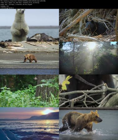 Animal 2021 S02 WEBRip x265-ION265