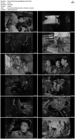 China 1943 1080p BluRay x264-OFT