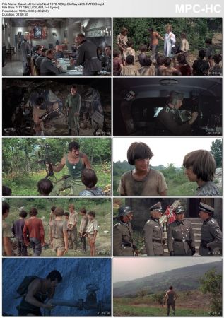 Hornets Nest 1970 1080p BluRay x265-RARBG