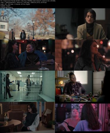 Single Drunk Female S01 720p HULU WEBRip x264-GalaxyTV