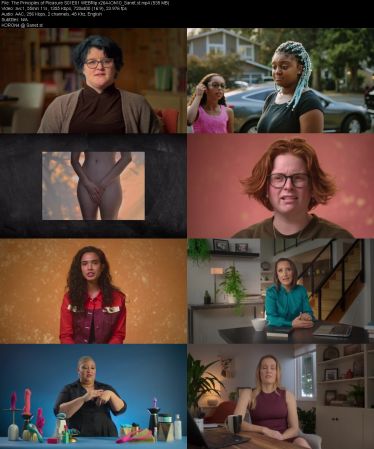 The Principles of Pleasure S01 WEBRip x264-ION10
