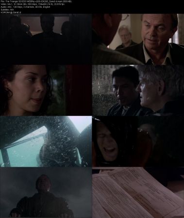 The Triangle S01 WEBRip x265-ION265