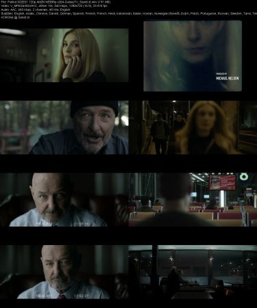 Patriot 2015 SERIES 720p AMZN WEBRip x264-GalaxyTV