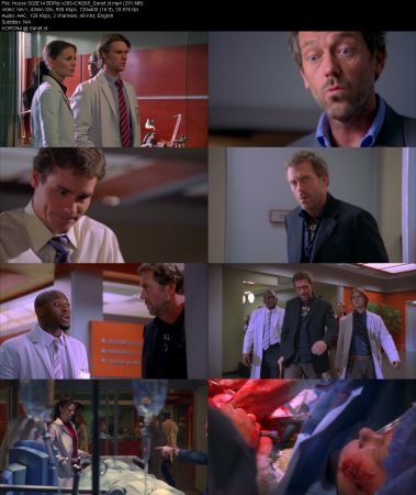 House S02 BDRip x265-ION265