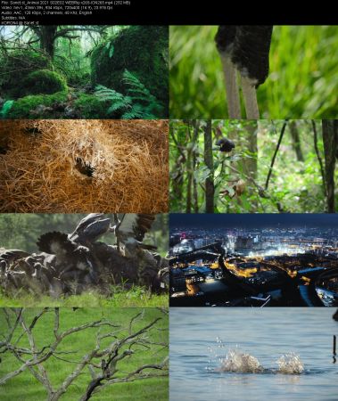 Animal 2021 S02 WEBRip x265-ION265