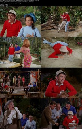Gilligans Island 1964 S02 720p AMZN WEBRip x264-GalaxyTV