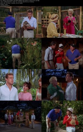 Gilligans Island 1964 S03 720p AMZN WEBRip x264-GalaxyTV