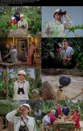 Gilligans Island 1964 S03 720p AMZN WEBRip x264-GalaxyTV