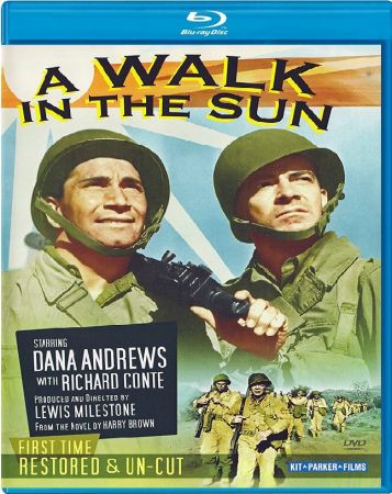A Walk In The Sun 1945 BRRip x264-ION10